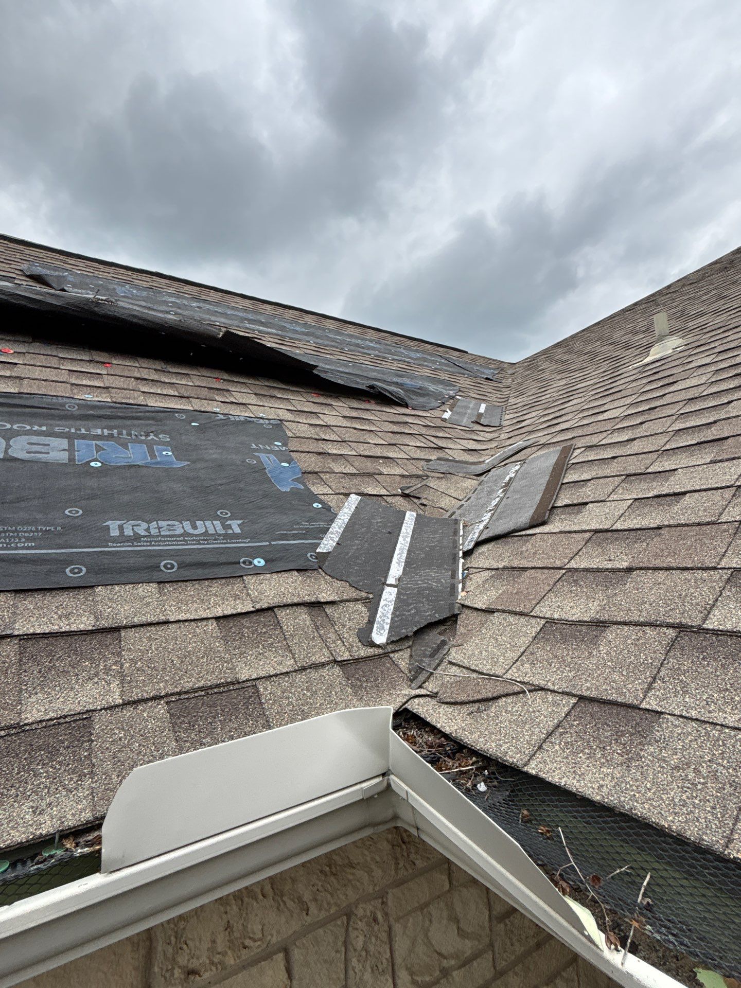 tiles on roof